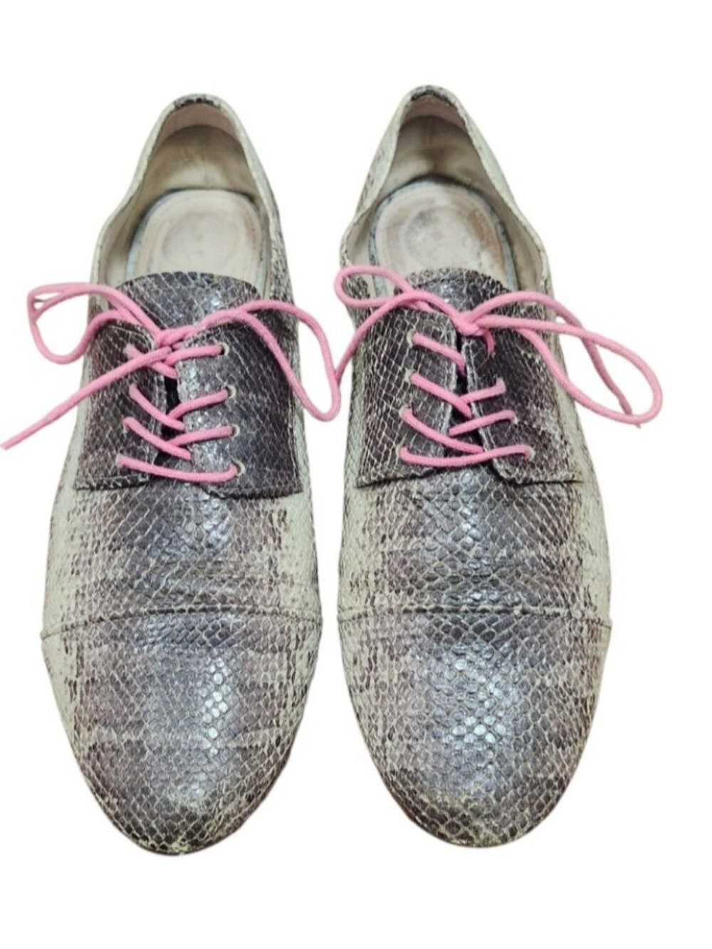 Miu Miu Reptile Print Lace-Up Oxford Shoes Pink Laces EU 38/US 7.5 - Picture 2 of 14